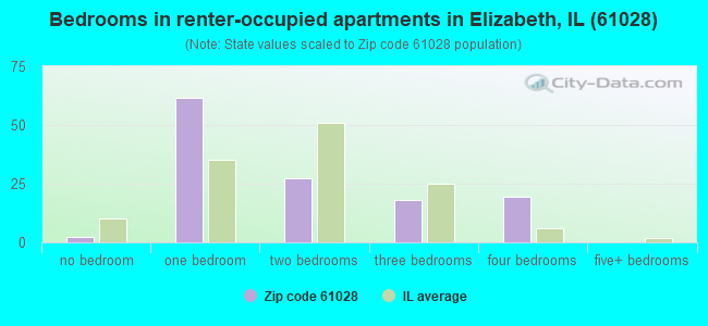 Bedrooms in renter-occupied apartments in Elizabeth, IL (61028) 