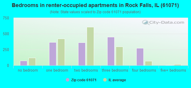 Bedrooms in renter-occupied apartments in Rock Falls, IL (61071) 