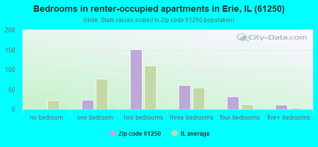 Bedrooms in renter-occupied apartments in Erie, IL (61250) 