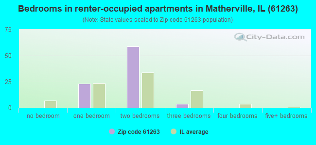 Bedrooms in renter-occupied apartments in Matherville, IL (61263) 