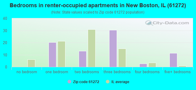 Bedrooms in renter-occupied apartments in New Boston, IL (61272) 