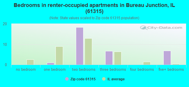 Bedrooms in renter-occupied apartments in Bureau Junction, IL (61315) 