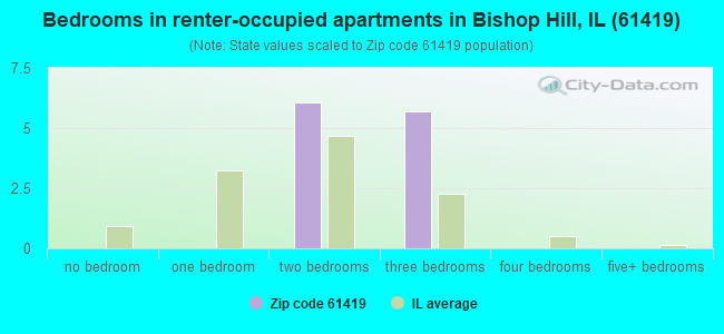 Bedrooms in renter-occupied apartments in Bishop Hill, IL (61419) 