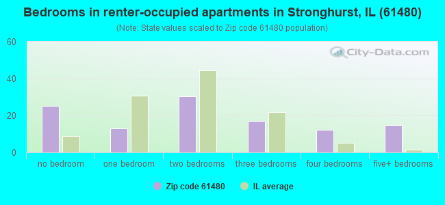 Bedrooms in renter-occupied apartments in Stronghurst, IL (61480) 