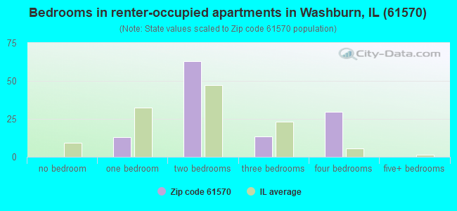 Bedrooms in renter-occupied apartments in Washburn, IL (61570) 