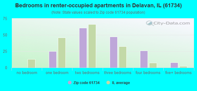 Bedrooms in renter-occupied apartments in Delavan, IL (61734) 
