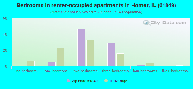 Bedrooms in renter-occupied apartments in Homer, IL (61849) 