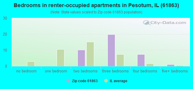 Bedrooms in renter-occupied apartments in Pesotum, IL (61863) 