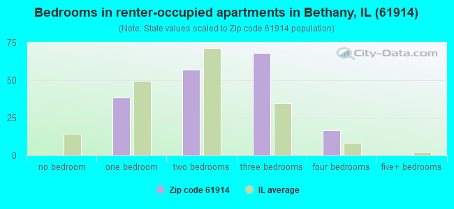 Bedrooms in renter-occupied apartments in Bethany, IL (61914) 