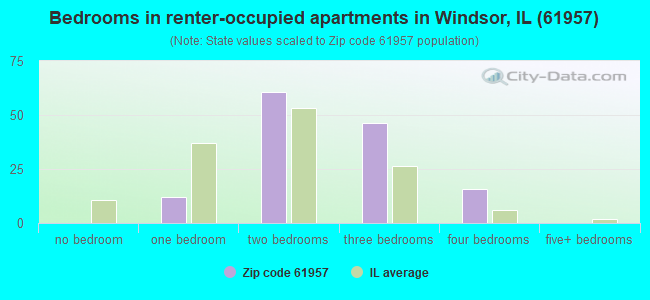 Bedrooms in renter-occupied apartments in Windsor, IL (61957) 
