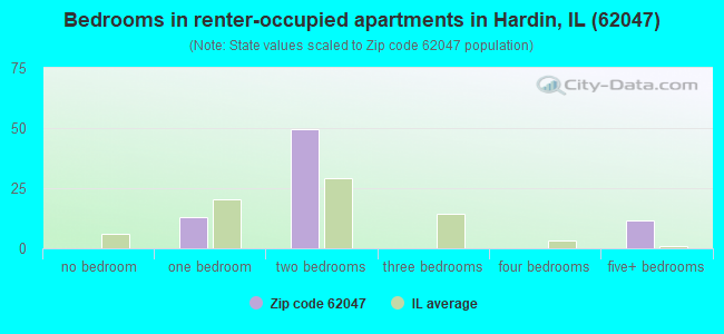 Bedrooms in renter-occupied apartments in Hardin, IL (62047) 