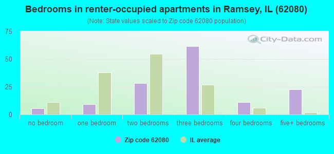 Bedrooms in renter-occupied apartments in Ramsey, IL (62080) 