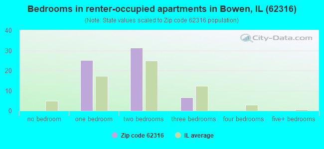 Bedrooms in renter-occupied apartments in Bowen, IL (62316) 