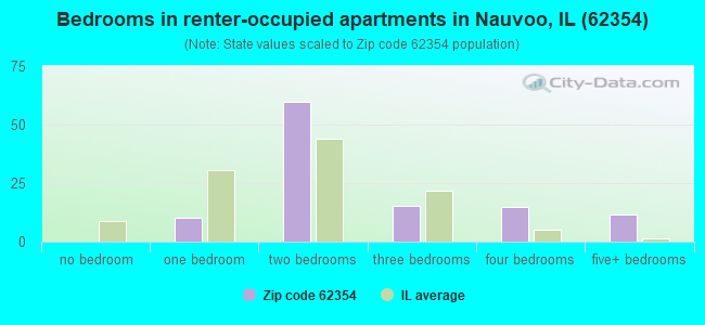 Bedrooms in renter-occupied apartments in Nauvoo, IL (62354) 