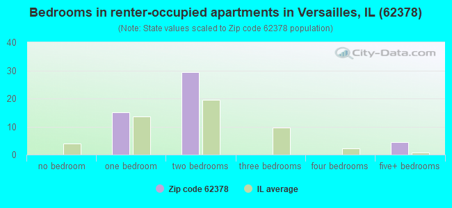 Bedrooms in renter-occupied apartments in Versailles, IL (62378) 