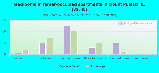 Bedrooms in renter-occupied apartments in Mount Pulaski, IL (62548) 