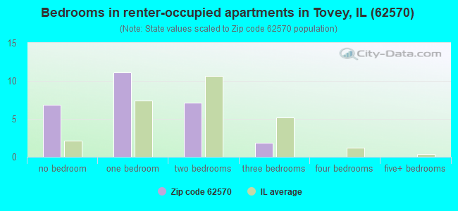 Bedrooms in renter-occupied apartments in Tovey, IL (62570) 