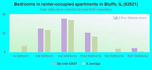 Bedrooms in renter-occupied apartments in Bluffs, IL (62621) 