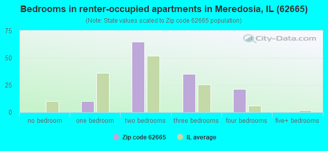 Bedrooms in renter-occupied apartments in Meredosia, IL (62665) 