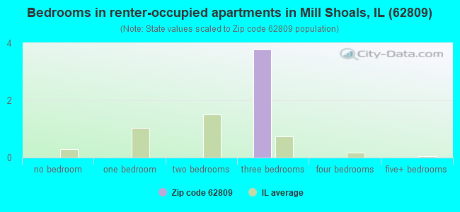 Bedrooms in renter-occupied apartments in Mill Shoals, IL (62809) 