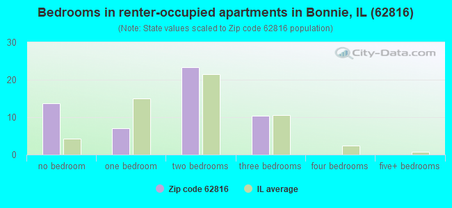 Bedrooms in renter-occupied apartments in Bonnie, IL (62816) 