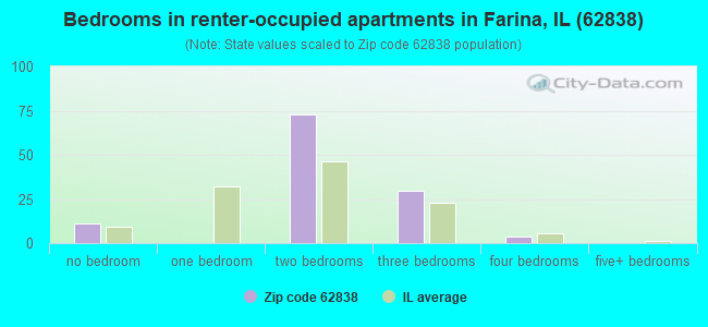 Bedrooms in renter-occupied apartments in Farina, IL (62838) 
