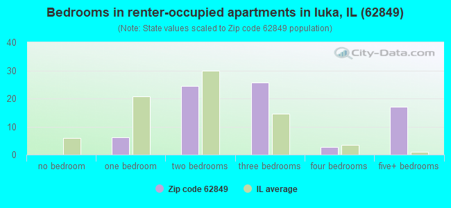 Bedrooms in renter-occupied apartments in Iuka, IL (62849) 