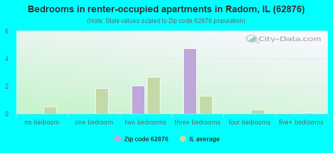 Bedrooms in renter-occupied apartments in Radom, IL (62876) 