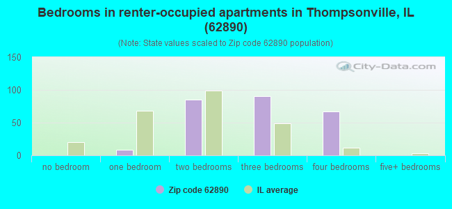 Bedrooms in renter-occupied apartments in Thompsonville, IL (62890) 