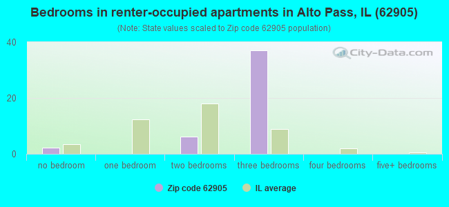 Bedrooms in renter-occupied apartments in Alto Pass, IL (62905) 