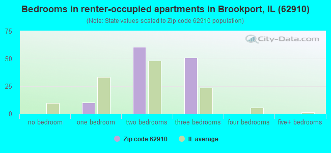 Bedrooms in renter-occupied apartments in Brookport, IL (62910) 