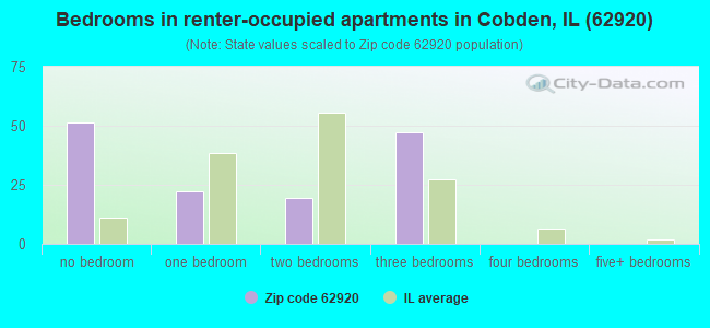 Bedrooms in renter-occupied apartments in Cobden, IL (62920) 