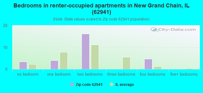 Bedrooms in renter-occupied apartments in New Grand Chain, IL (62941) 