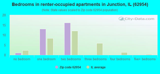 Bedrooms in renter-occupied apartments in Junction, IL (62954) 