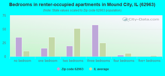 Bedrooms in renter-occupied apartments in Mound City, IL (62963) 