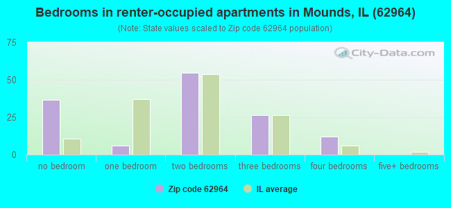 Bedrooms in renter-occupied apartments in Mounds, IL (62964) 