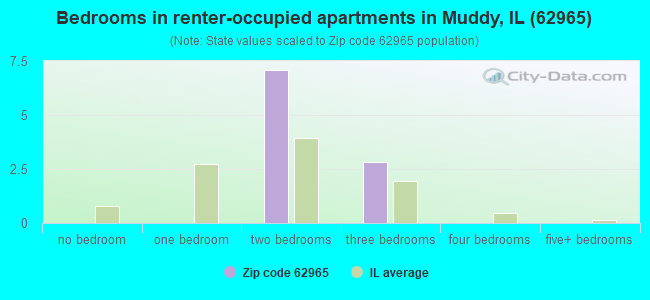 Bedrooms in renter-occupied apartments in Muddy, IL (62965) 