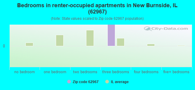 Bedrooms in renter-occupied apartments in New Burnside, IL (62967) 