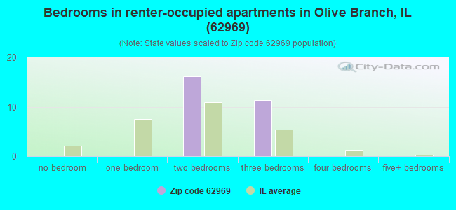 Bedrooms in renter-occupied apartments in Olive Branch, IL (62969) 