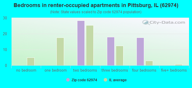 Bedrooms in renter-occupied apartments in Pittsburg, IL (62974) 