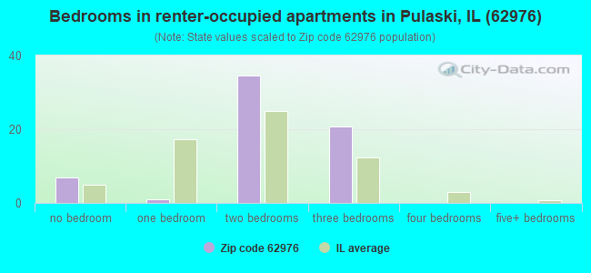 Bedrooms in renter-occupied apartments in Pulaski, IL (62976) 