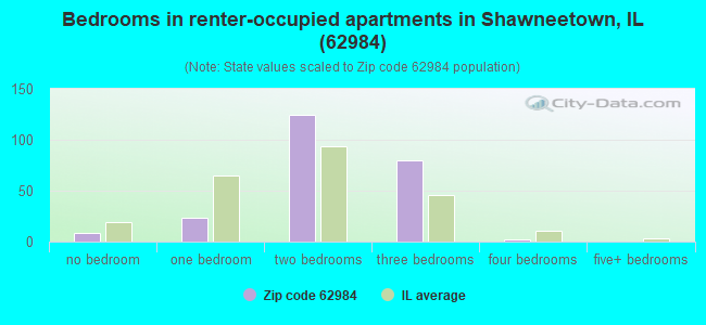 Bedrooms in renter-occupied apartments in Shawneetown, IL (62984) 