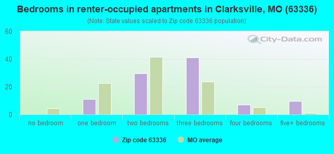 Bedrooms in renter-occupied apartments in Clarksville, MO (63336) 