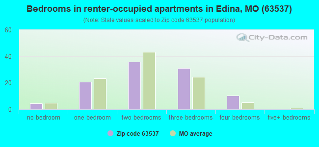 Bedrooms in renter-occupied apartments in Edina, MO (63537) 