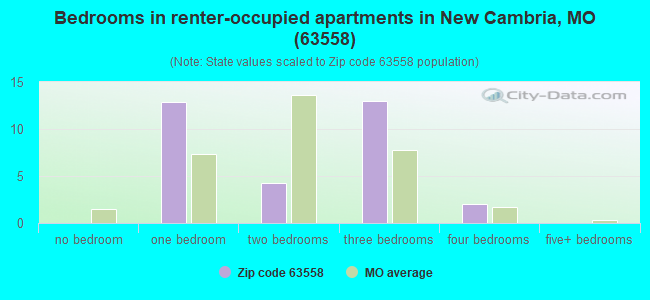 Bedrooms in renter-occupied apartments in New Cambria, MO (63558) 