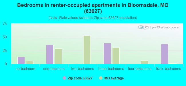 Bedrooms in renter-occupied apartments in Bloomsdale, MO (63627) 