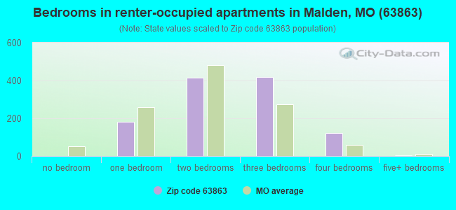 Bedrooms in renter-occupied apartments in Malden, MO (63863) 