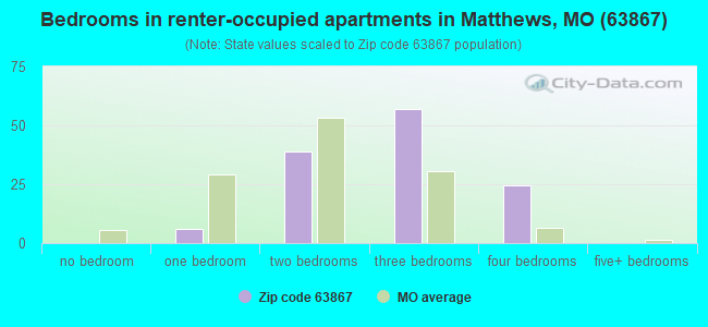 Bedrooms in renter-occupied apartments in Matthews, MO (63867) 