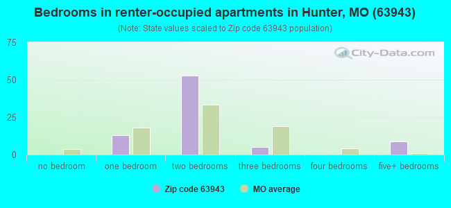 Bedrooms in renter-occupied apartments in Hunter, MO (63943) 