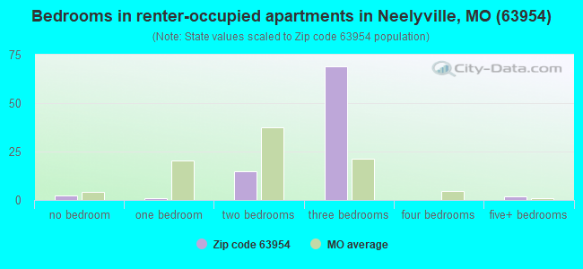 Bedrooms in renter-occupied apartments in Neelyville, MO (63954) 